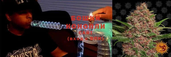 2c-b Бородино