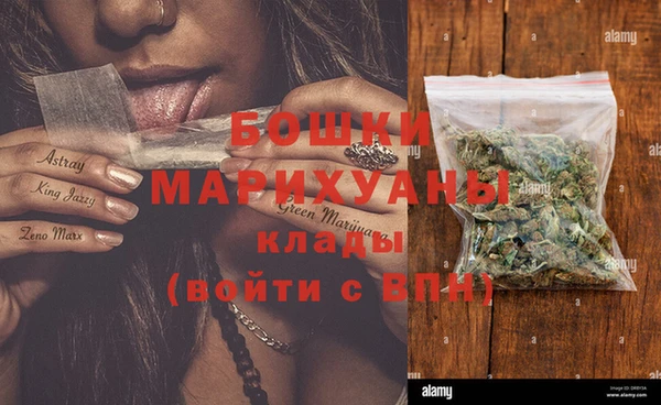 2c-b Бородино