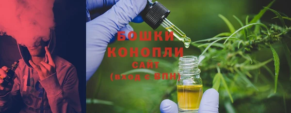 2c-b Бородино