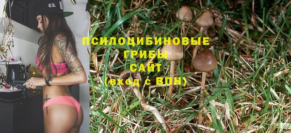прущая мука Бронницы