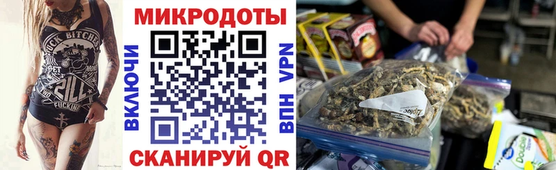 Псилоцибиновые грибы Psilocybine cubensis Верхняя Пышма